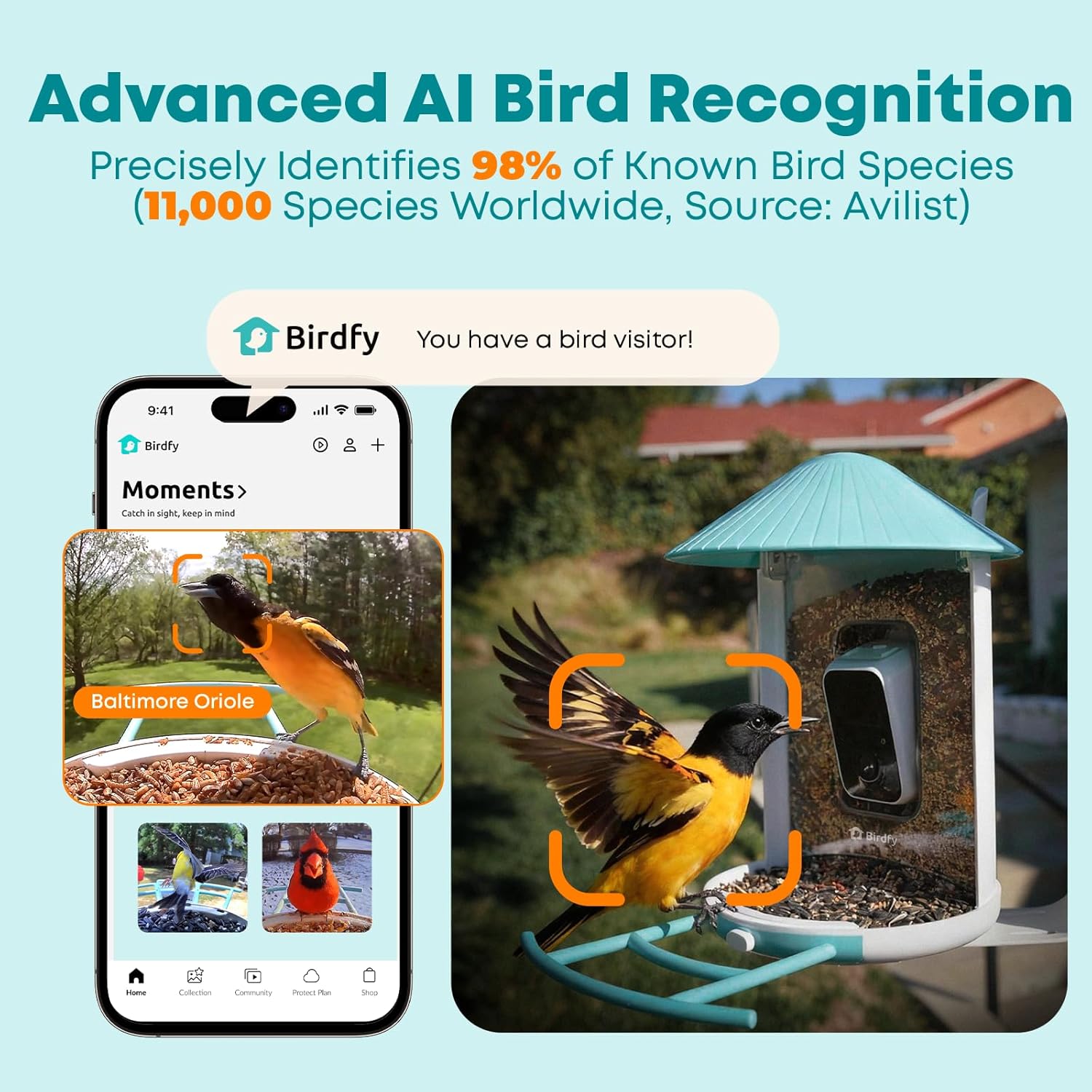 Netvue Birdfy Solar Price